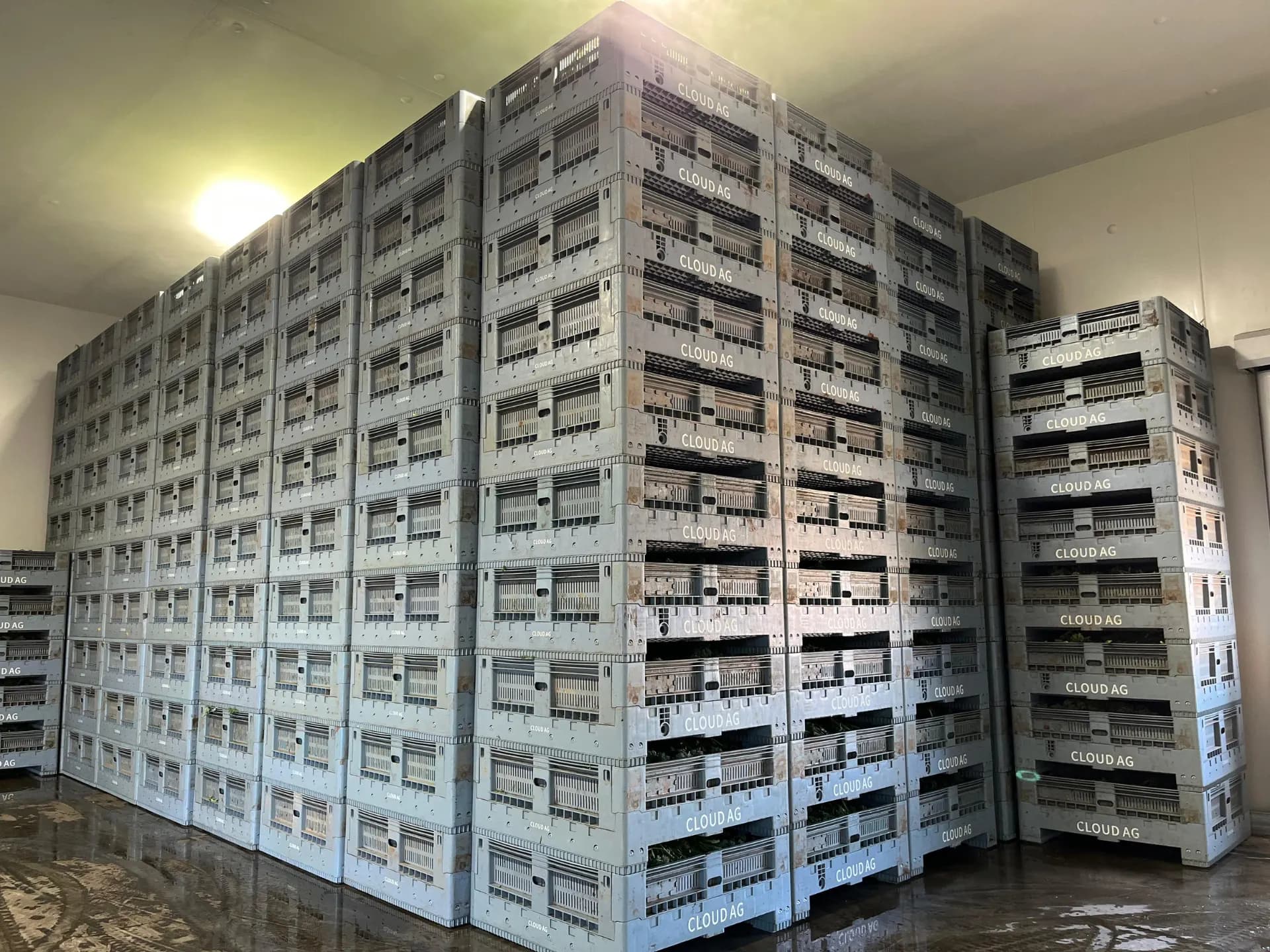 Eco Pallets Australia warehouse operations